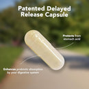 Pro-100 Probiotic Vitamin Bounty