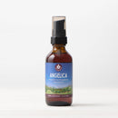 Angelica - Respiratory Stimulant - VitaEver Nutrition