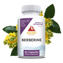 Premium Berberine HCl – Botanical Wellness Blend