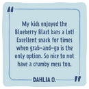 Skout Organic Blueberry Blast Kids Bar - VitaEver Nutrition