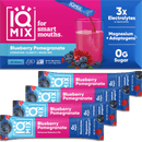 Blueberry Pomegranate (20 Sticks) IQBAR