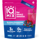 Blueberry Pomegranate (40 Sticks) IQBAR