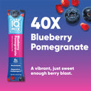 Blueberry Pomegranate (40 Sticks) IQBAR