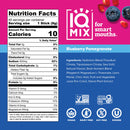 Blueberry Pomegranate (40 Sticks) IQBAR