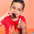 Skout Organic Chocolate Brownie Bar - VitaEver Nutrition