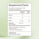 Collagen Protein - Type 1 & 3 Collagen AMMD