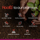 Full Spectrum Multivitamin Superfood & Electrolytes - Root’d