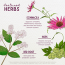 Kick - Ass Biotic Immune Force - VitaEver Nutrition