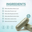 LYMPHX Botanical Wellness Support Daily Resilience - Healthy Day
