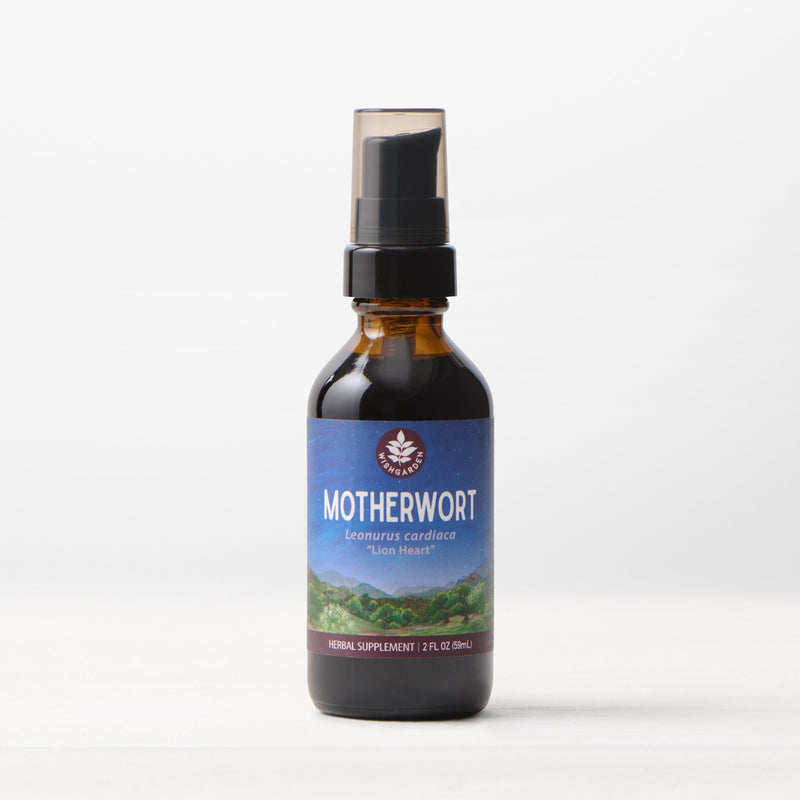 Motherwort WishGarden Herbs