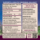 Candida Rescue Microbiome Stabilizer - VitaEver Nutrition