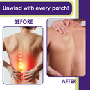 Relief Night Patch - 8 pack Arnica, White Willow Bark, Melatonin for Soreness for sleep Friendly Patch Co