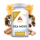 Organic Sea Moss 60 Capsules 500 mg - Ascent Nutrition