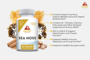 Organic Sea Moss 60 Capsules 500 mg - Ascent Nutrition