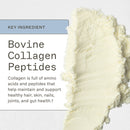 Paleo Protein - Unflavored AMMD