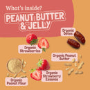 Skout Organic Peanut Butter & Jelly Kids Bar Skout Organic