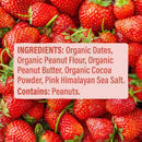 Skout Organic Peanut Butter & Jelly Kids Bar Skout Organic