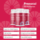 Prenatal Multivitamin Folate & Iron