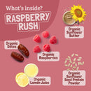 Skout Organic Raspberry Rush Kids Bar Skout Organic