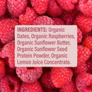 Skout Organic Raspberry Rush Kids Bar Skout Organic