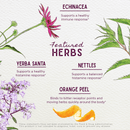 Kick - Ass Allergy & Sinus Soother - VitaEver Nutrition