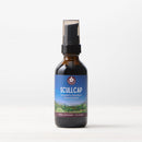 Scullcap - Soothes the Nervous System - VitaEver Nutrition