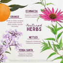 Kick - Ass Allergy Seasonal Rescue - VitaEver Nutrition