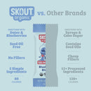 Skout Organic Kids Fruit Bar Variety Pack Skout Organic
