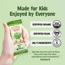 Skout Organic Small Batch Kids Fruit Bar Variety Pack Skout Organic