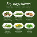 Hormone & Mood Support - VitaEver Nutrition