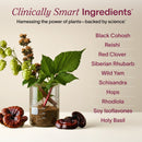 Perimeno - Perimenopause - VitaEver Nutrition