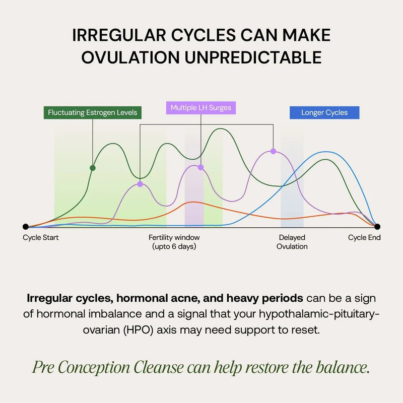 Pre - Conception Cleanse - VitaEver Nutrition