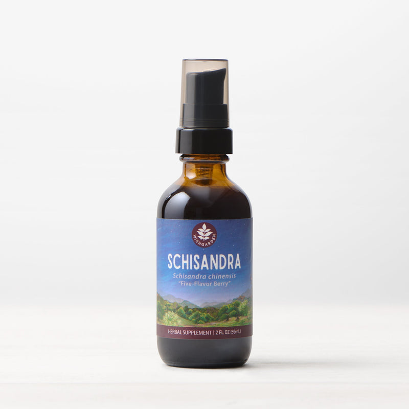 Schisandra - Promotes Energy, Vitality and Longevity - VitaEver Nutrition