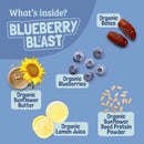 Skout Organic Blueberry Blast Kids Bar - VitaEver Nutrition