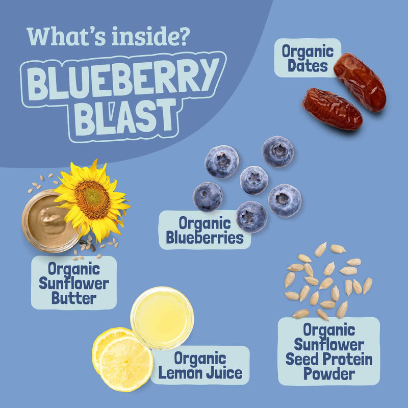 Skout Organic Blueberry Blast Kids Bar - VitaEver Nutrition