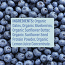 Skout Organic Blueberry Blast Kids Bar - VitaEver Nutrition