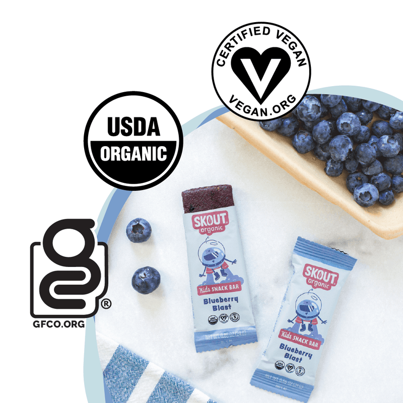 Skout Organic Blueberry Blast Kids Bar - VitaEver Nutrition