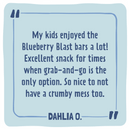 Skout Organic Blueberry Blast Kids Bar - VitaEver Nutrition