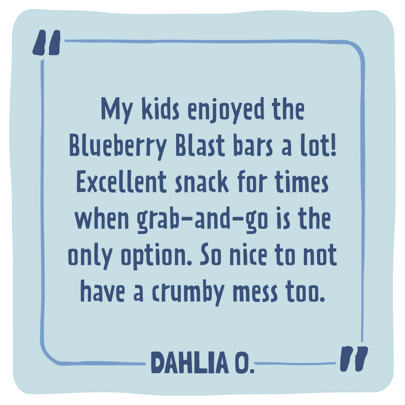 Skout Organic Blueberry Blast Kids Bar - VitaEver Nutrition