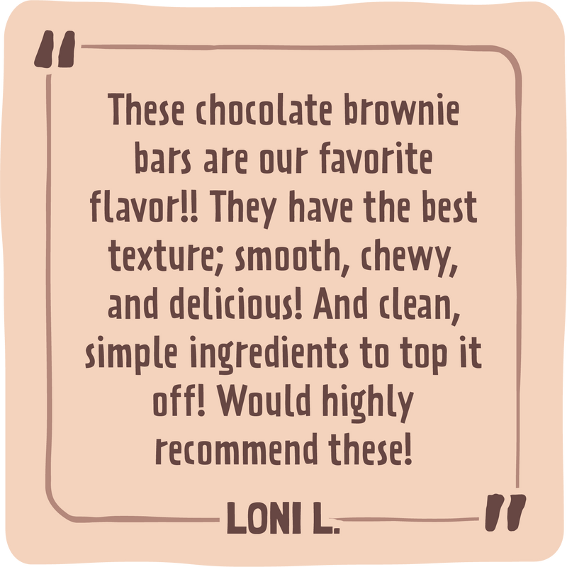 Skout Organic Chocolate Brownie Kids Bar Skout Organic