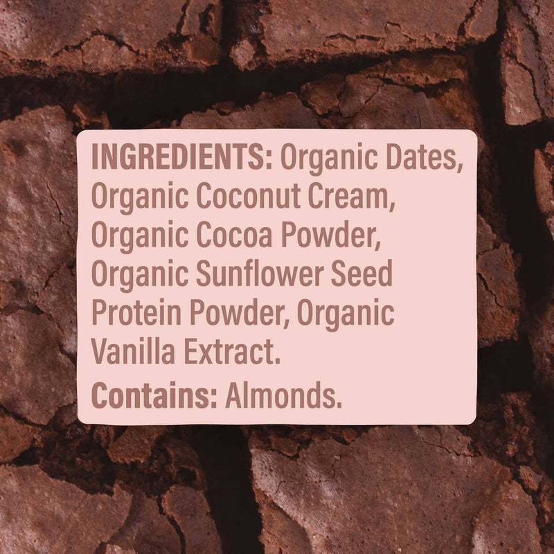 Skout Organic Chocolate Brownie Kids Bar Skout Organic